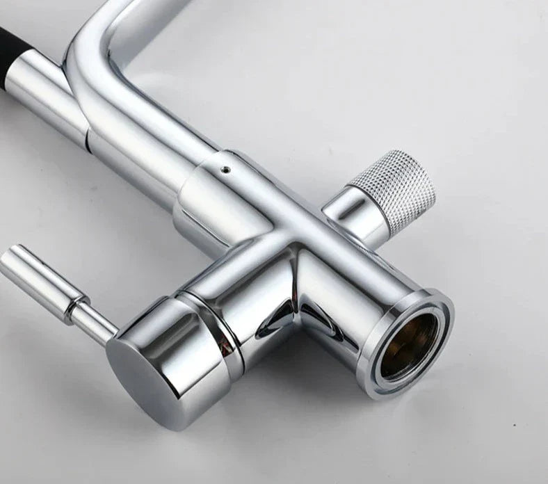 Pull Down Kitchen Faucet with Filtered Water Outlet