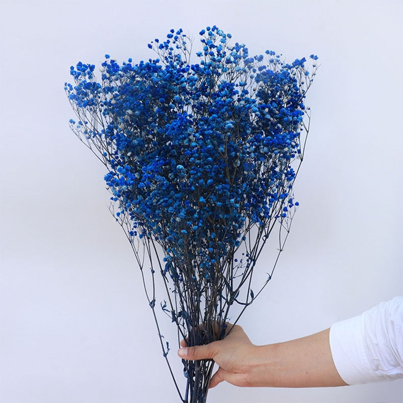 Dried Preserved Gypsophila Flower Bouquet – Natural Decor
