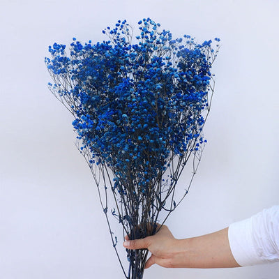 Dried Preserved Gypsophila Flower Bouquet – Natural Decor