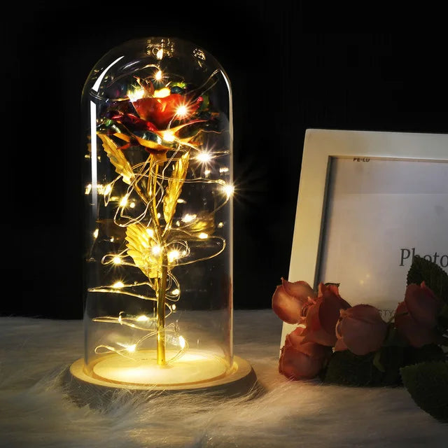 Eternal Rose in Glass Dome with LED Lights