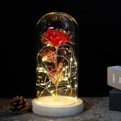 Eternal Rose in Glass Dome with LED Lights