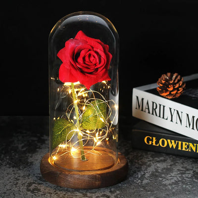 Eternal Rose in Glass Dome with LED Lights