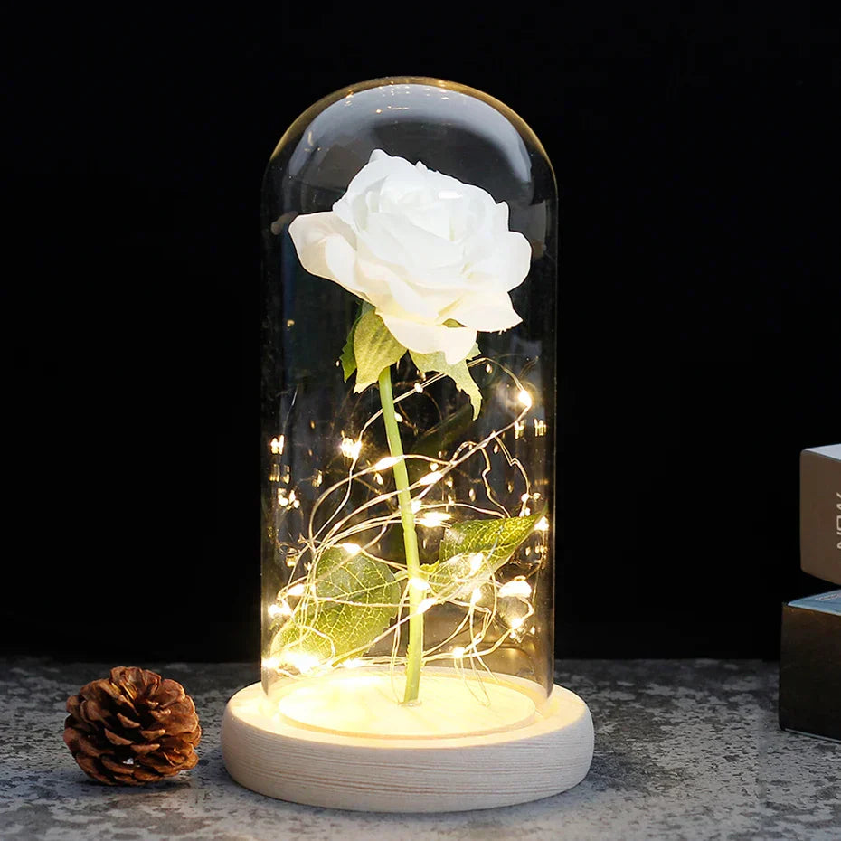 Eternal Rose in Glass Dome with LED Lights