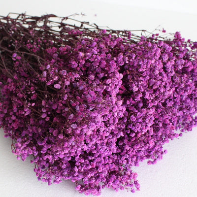 Dried Preserved Gypsophila Flower Bouquet – Natural Decor