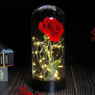 Eternal Rose in Glass Dome with LED Lights