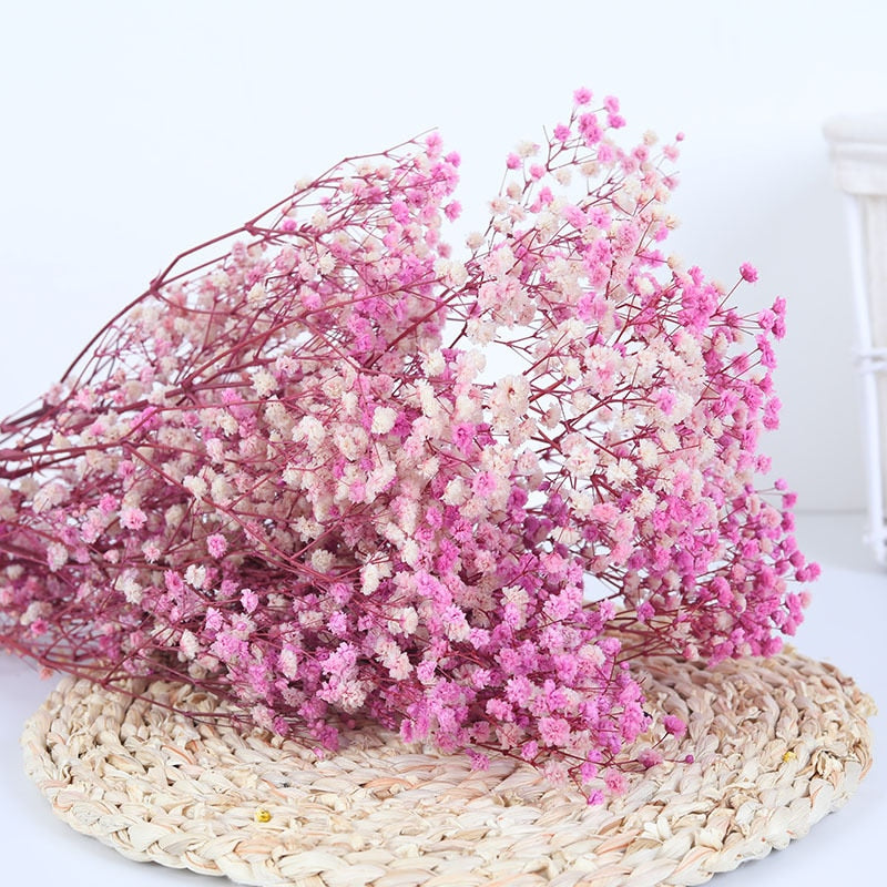 Dried Preserved Gypsophila Flower Bouquet – Natural Decor