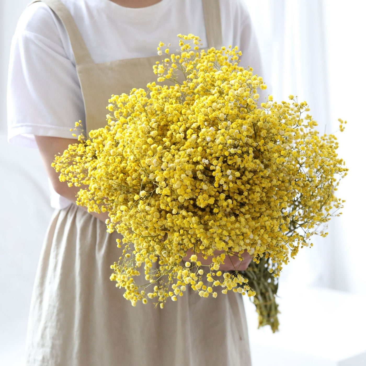 Dried Preserved Gypsophila Flower Bouquet – Natural Decor