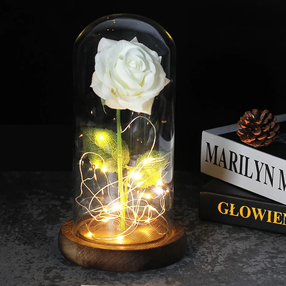 Eternal Rose in Glass Dome with LED Lights