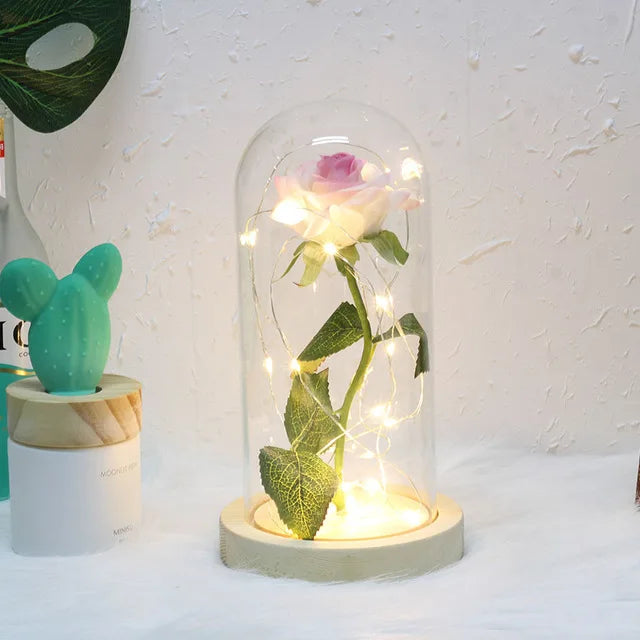 Eternal Rose in Glass Dome with LED Lights