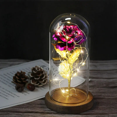 Eternal Rose in Glass Dome with LED Lights