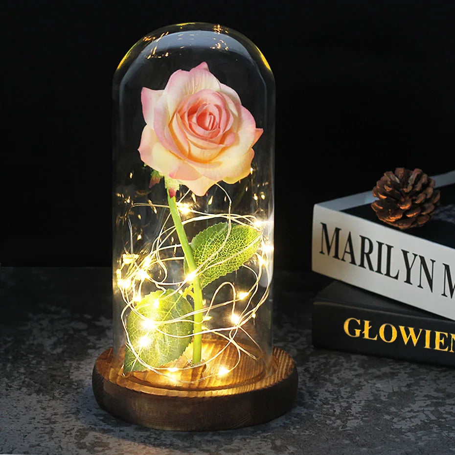 Eternal Rose in Glass Dome with LED Lights
