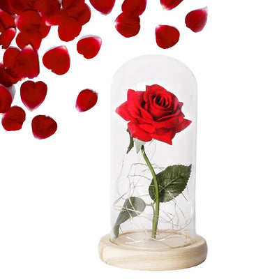 Eternal Rose in Glass Dome with LED Lights