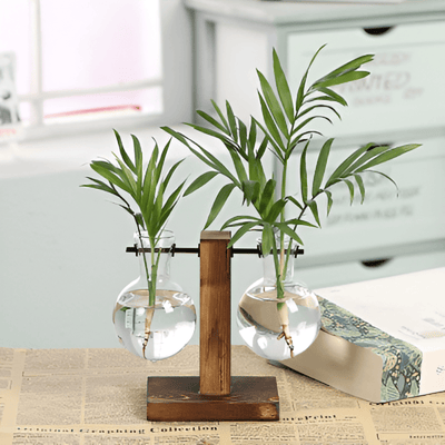 Rustic Wooden Hydroponic Plant Holder with Glass Vase
