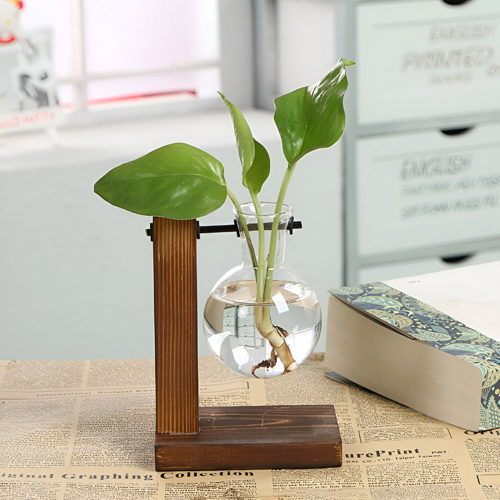 Rustic Wooden Hydroponic Plant Holder with Glass Vase