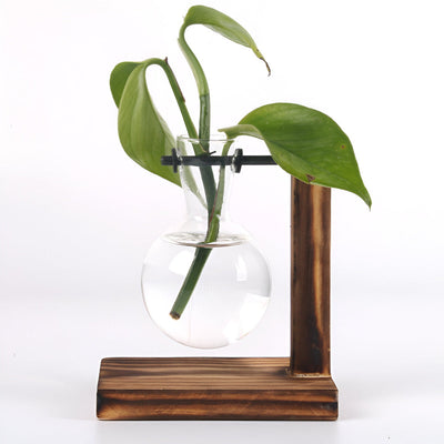 Rustic Wooden Hydroponic Plant Holder with Glass Vase