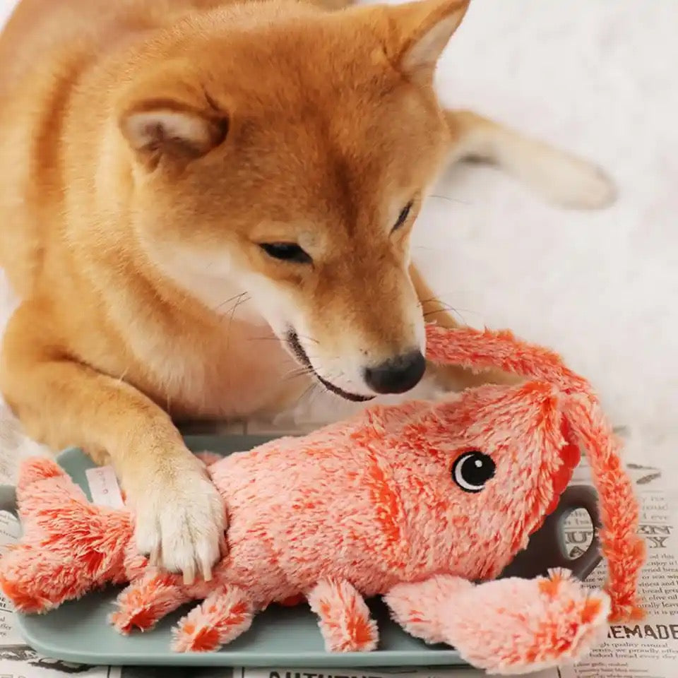 Wiggly Lobster Interactive Motion Toy for Dogs