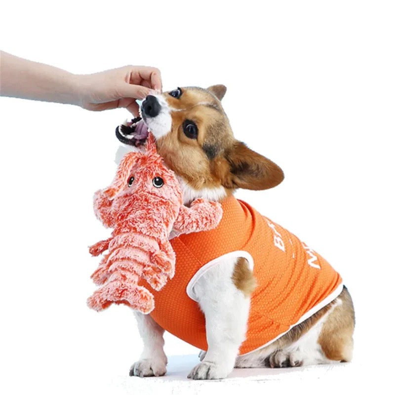 Wiggly Lobster Interactive Motion Toy for Dogs