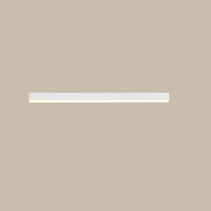 Scandinavian LED Ceiling Lamp
