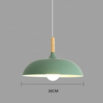 Scandinavian Oak LED Ceiling Light Fixture