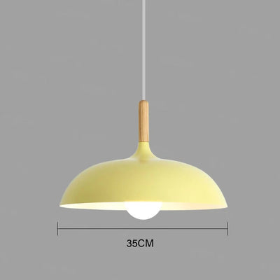 Scandinavian Oak LED Ceiling Light Fixture
