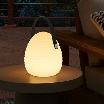 Rechargeable LED Outdoor Hanging Light with Remote