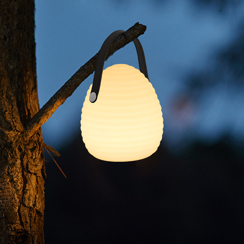 Rechargeable LED Outdoor Hanging Light with Remote