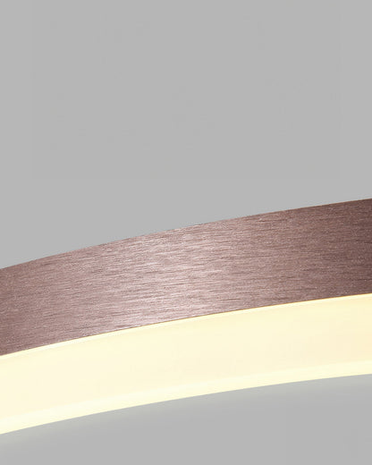 Elegant Design Ring Ceiling Light