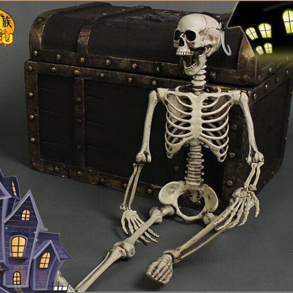 Life-Size 170 cm Posable Halloween Skeleton Decoration