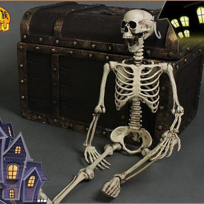 Life-Size 170 cm Posable Halloween Skeleton Decoration
