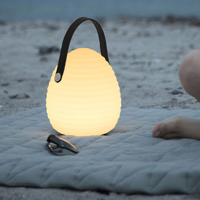 Rechargeable LED Outdoor Hanging Light with Remote