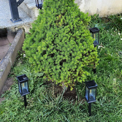 Wireless Solar Garden Lantern – GlowPath