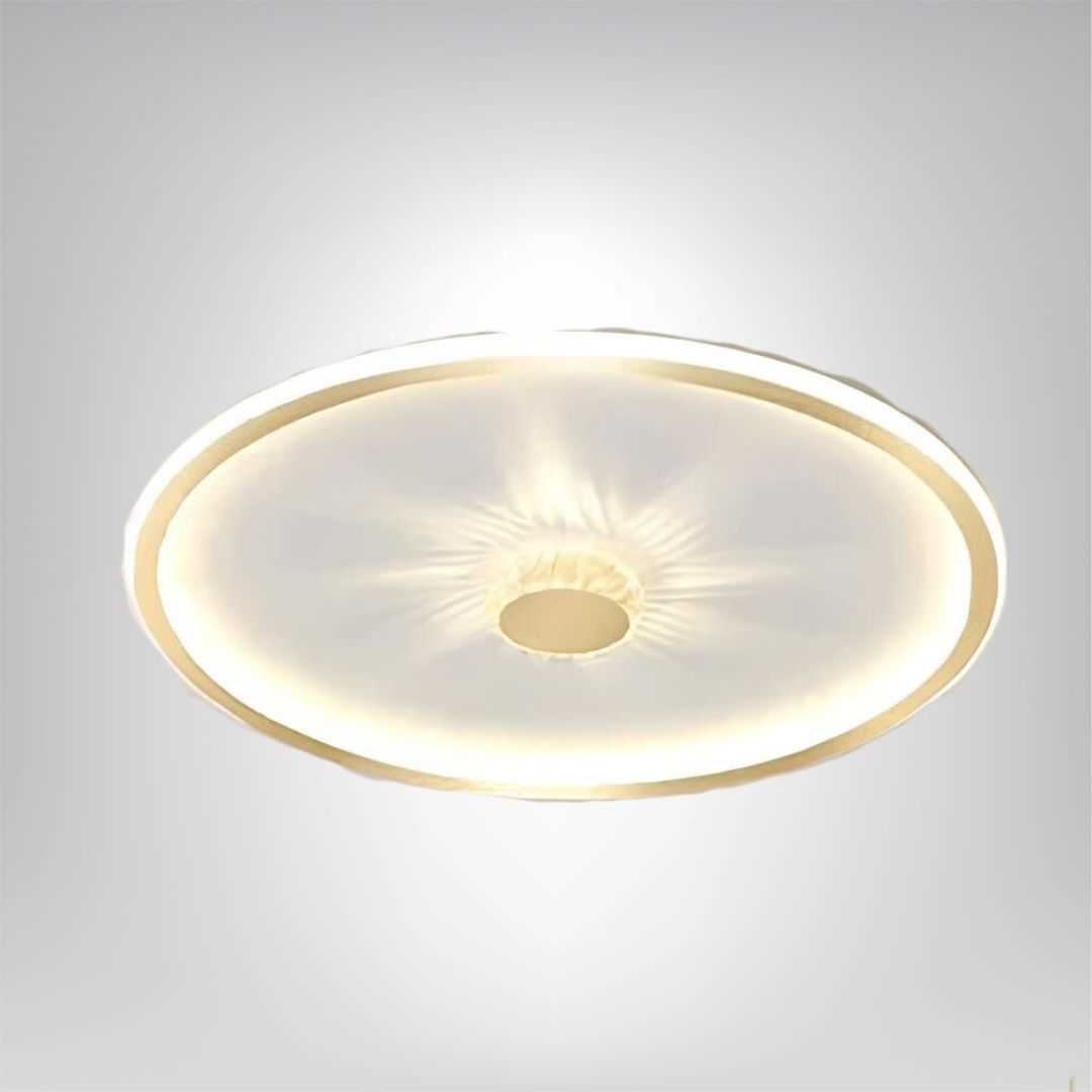 Modern Dimmable LED Ceiling Light for Home