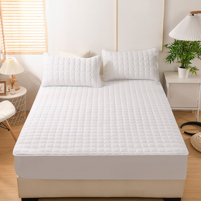 Eucalyptus Fitted Sheet Set with Pillowcases