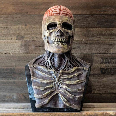 Realistic Halloween Skull Mask with Brain Detail