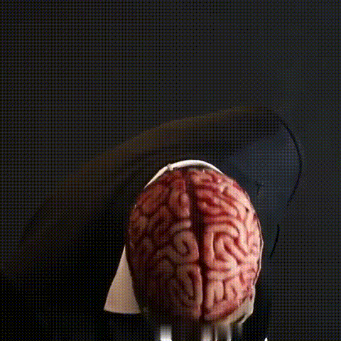 Realistic Halloween Skull Mask with Brain Detail