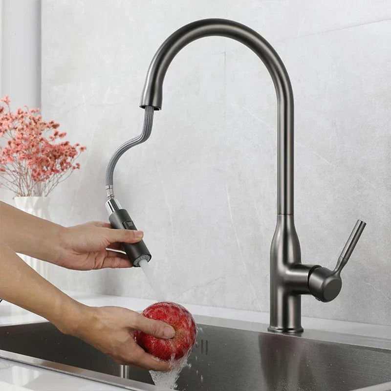 Stainless Steel Kitchen Faucet with Pull-Out Sprayer