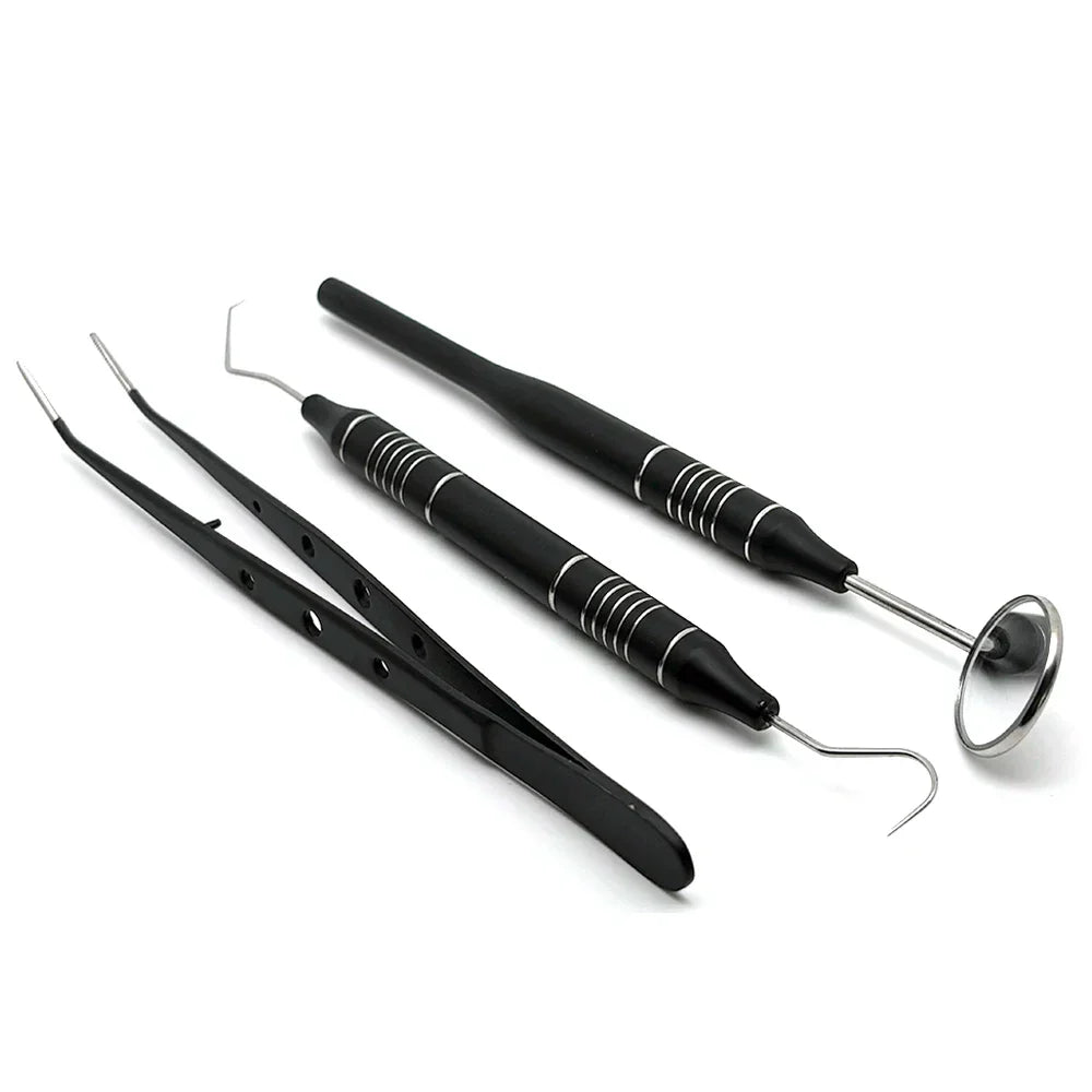 Stainless Steel Teeth Cleaning Kit with Dental Tools