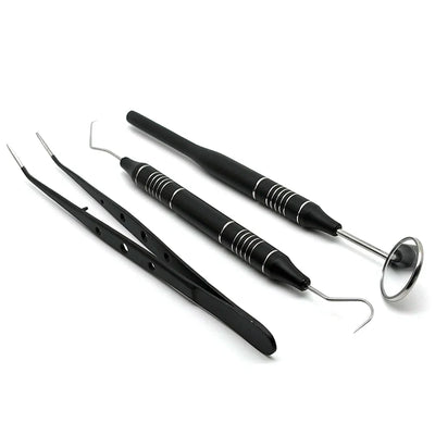 Stainless Steel Teeth Cleaning Kit with Dental Tools