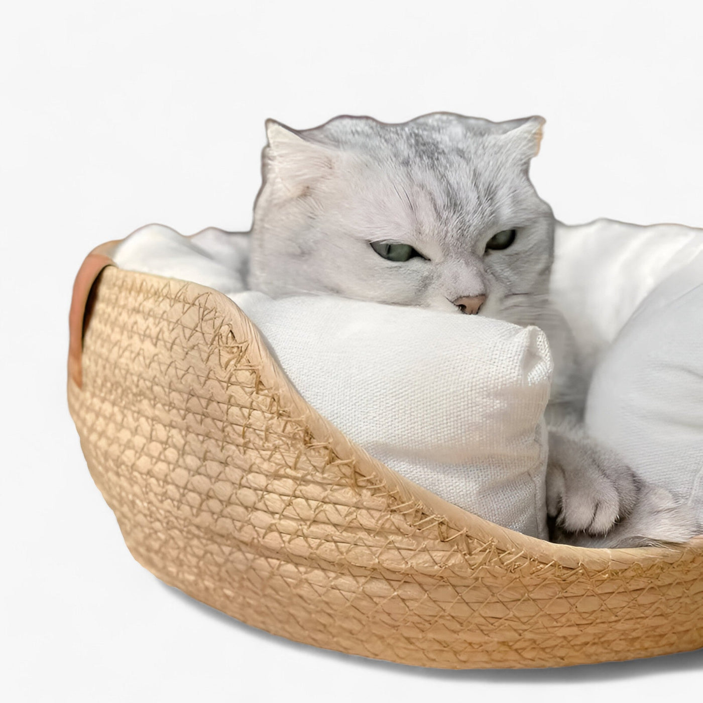 Handwoven Bamboo Pet Bed with Soft Cushion – Luna Nest