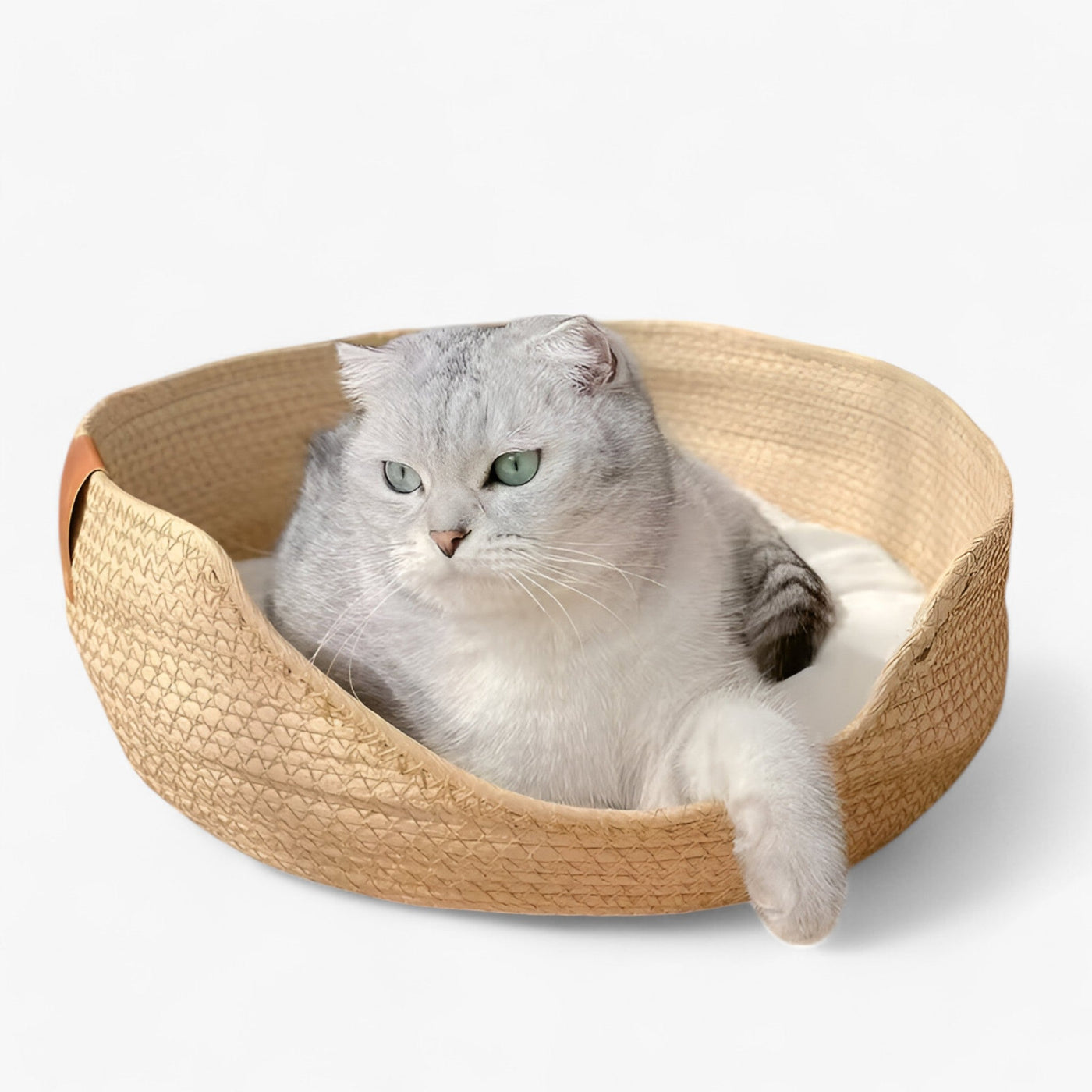 Handwoven Bamboo Pet Bed with Soft Cushion – Luna Nest
