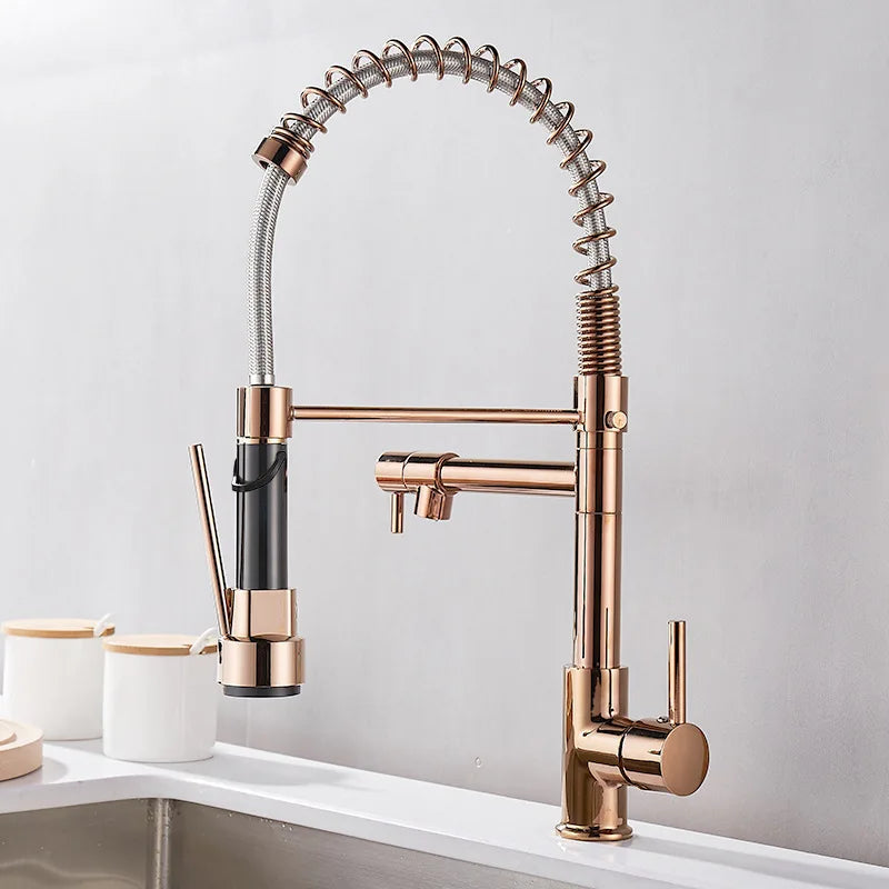 Black and Gold Dual Spout Kitchen Faucet