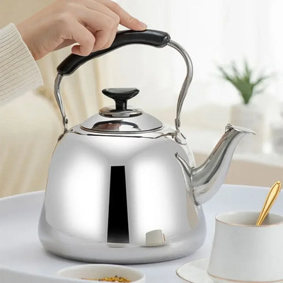 Stainless Steel Whistling Tea Kettle