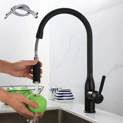 Stainless Steel Kitchen Faucet with Pull-Out Sprayer
