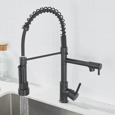 Black and Gold Dual Spout Kitchen Faucet