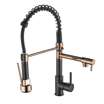 Black and Gold Dual Spout Kitchen Faucet