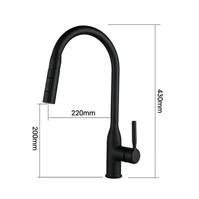 Stainless Steel Kitchen Faucet with Pull-Out Sprayer