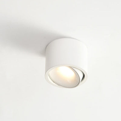 Adjustable LED Flush Mount Ceiling Spotlight