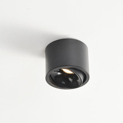 Adjustable LED Flush Mount Ceiling Spotlight