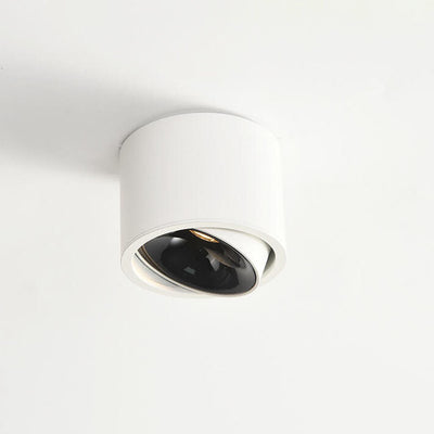 Adjustable LED Flush Mount Ceiling Spotlight