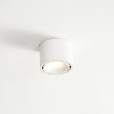 Adjustable LED Flush Mount Ceiling Spotlight